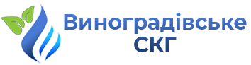 , Головна, Виноградівське сільське комунальне господарство, Виноградове